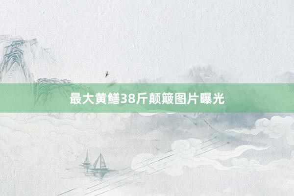 最大黄鳝38斤颠簸图片曝光