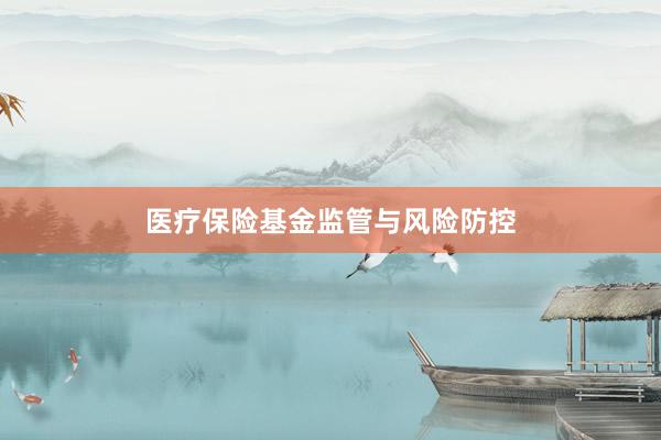 医疗保险基金监管与风险防控